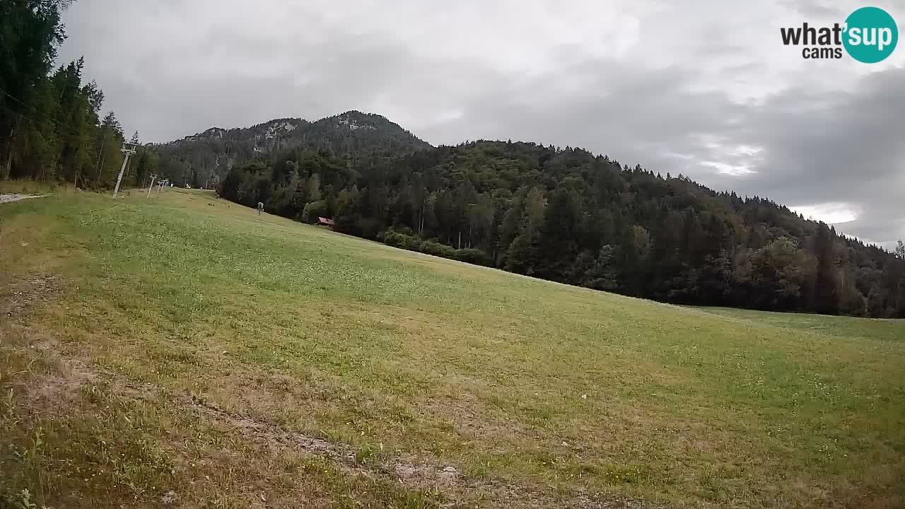 RTC Kranjska Gora | Brsnina