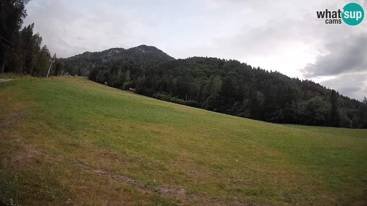 Kranjska Gora Station de ski | Brsnina