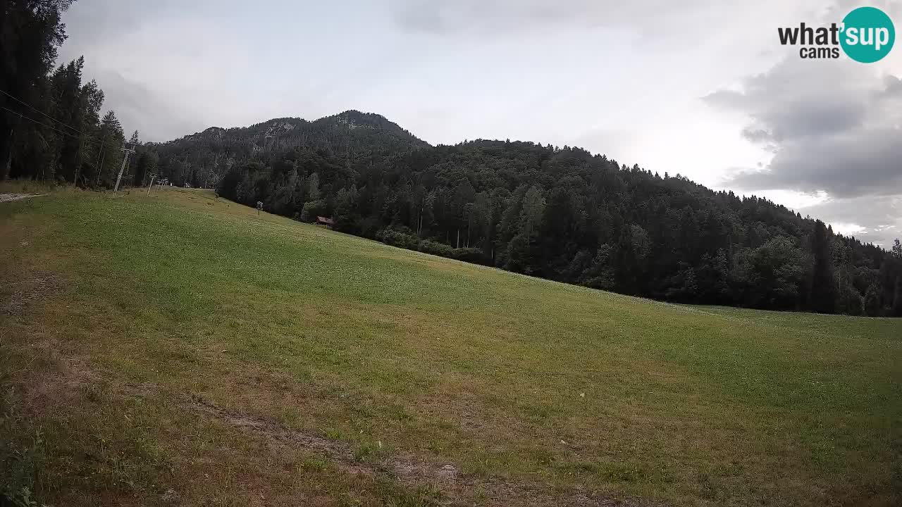 RTC Kranjska Gora | Brsnina
