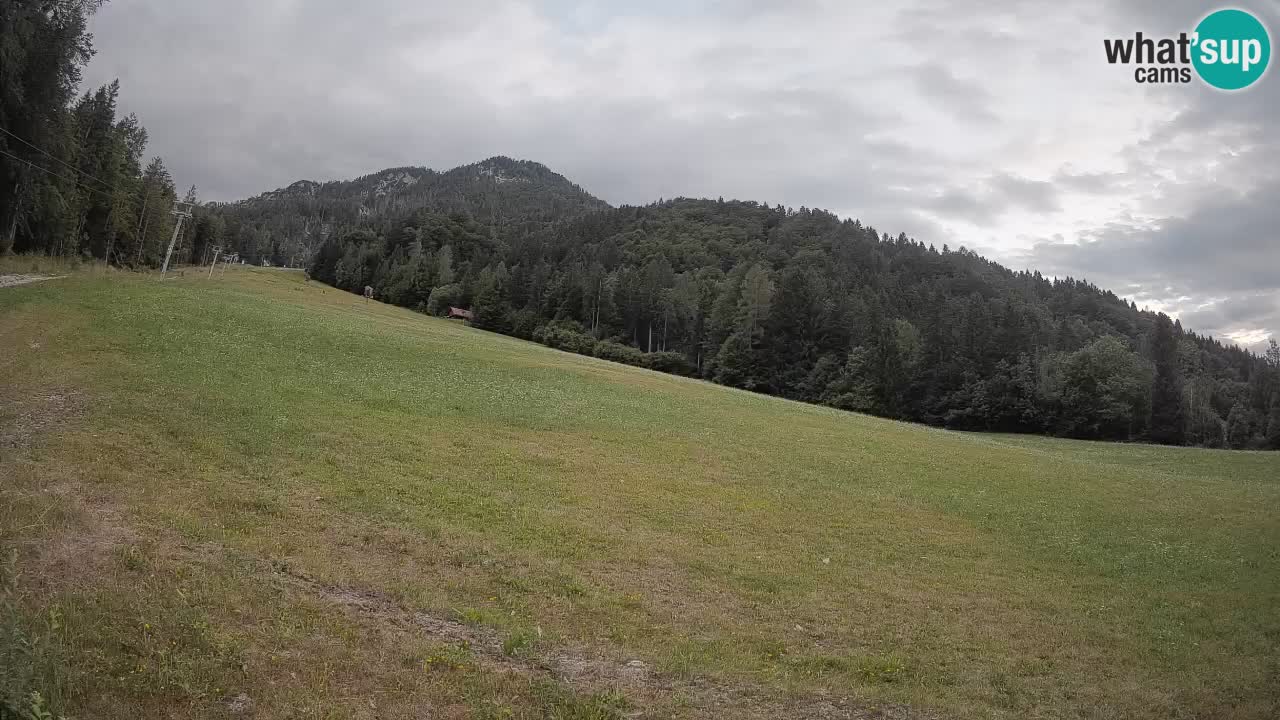 RTC Kranjska Gora | Brsnina
