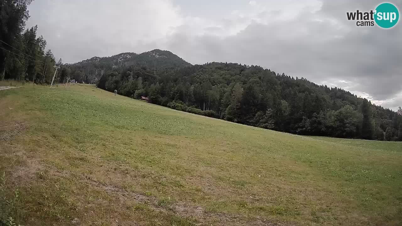 Esquí Kranjska Gora | Brsnina