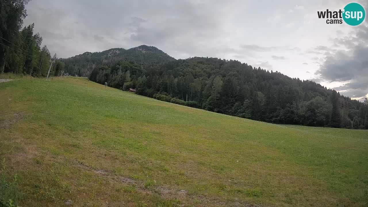 Kranjska Gora Station de ski | Brsnina