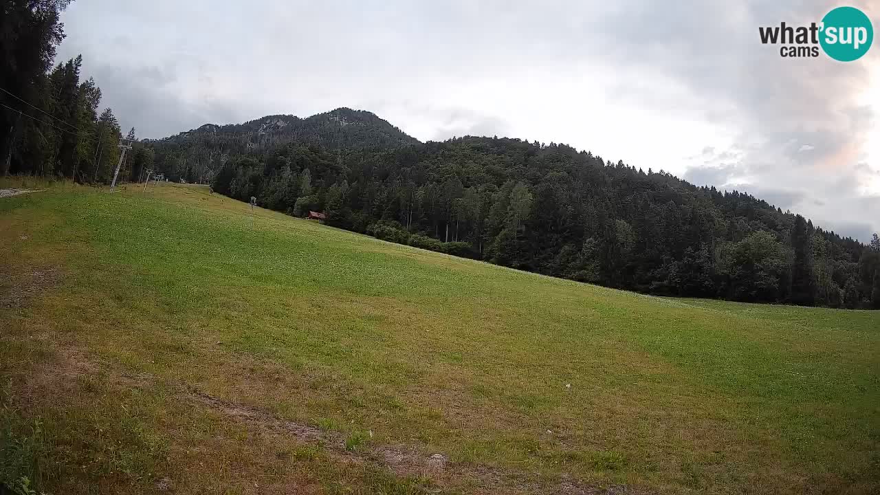 Esquí Kranjska Gora | Brsnina