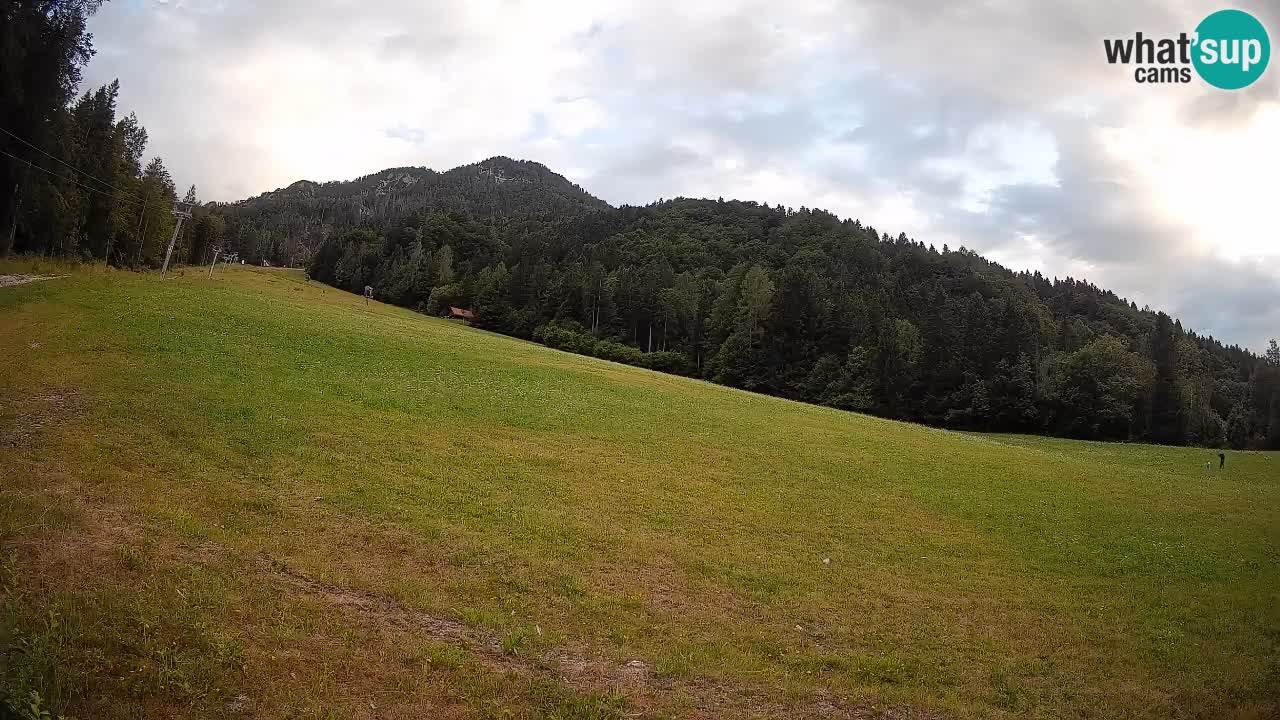 Comprensorio sciistico Kranjska Gora | Brsnina
