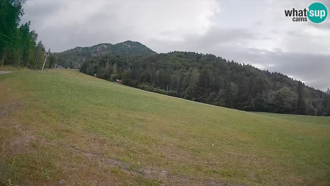 Esquí Kranjska Gora | Brsnina