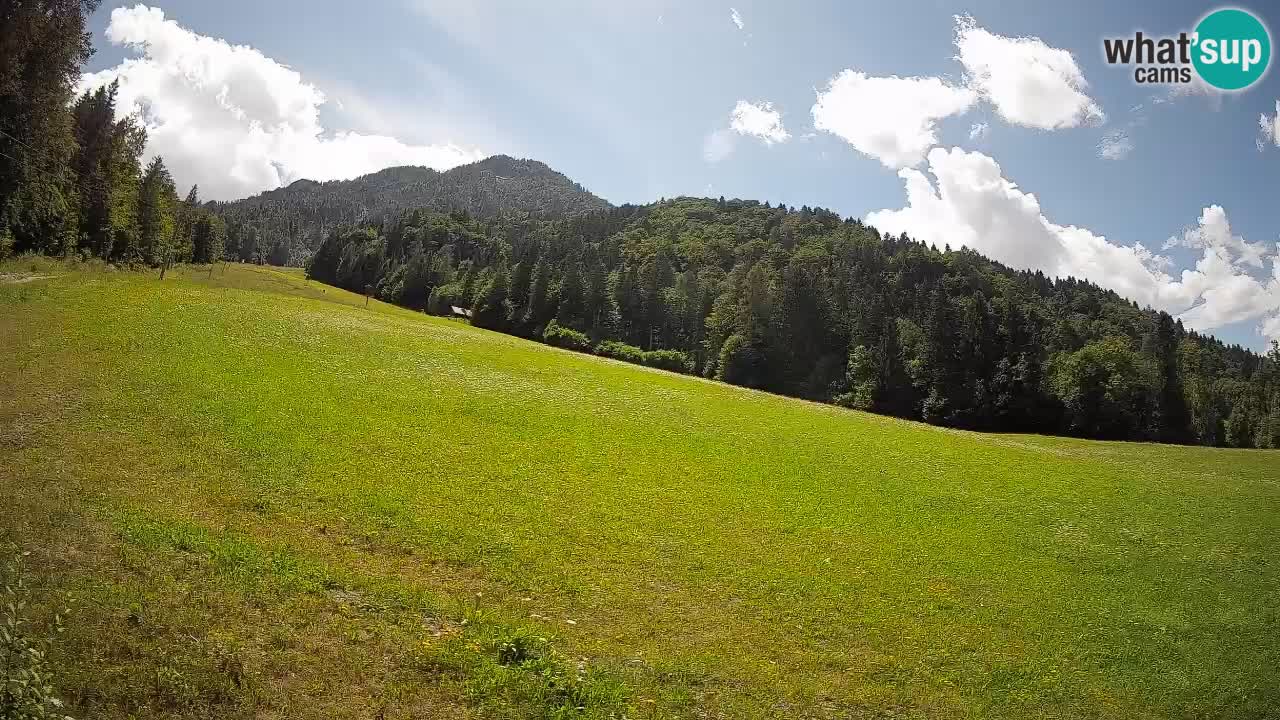 RTC Skigebiet Kranjska Gora | Brsnina