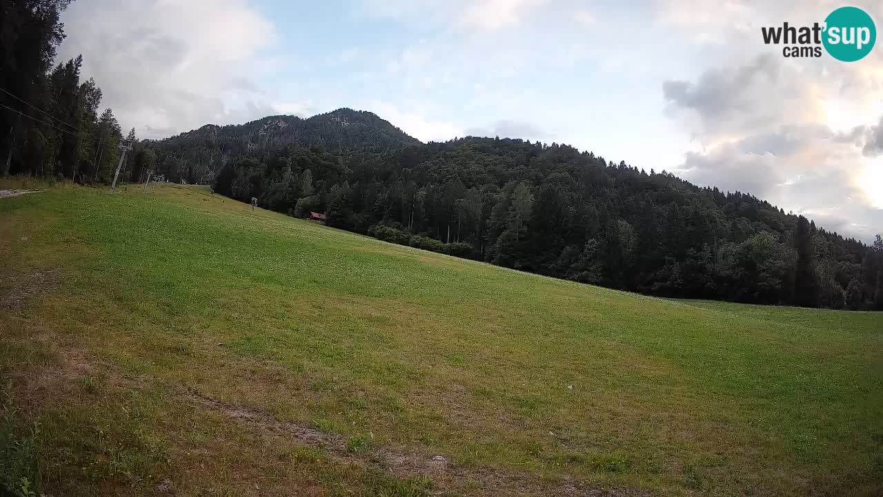 Kranjska Gora Station de ski | Brsnina