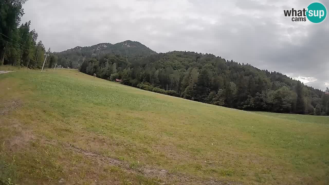 Ski Kranjska Gora | Brsnina