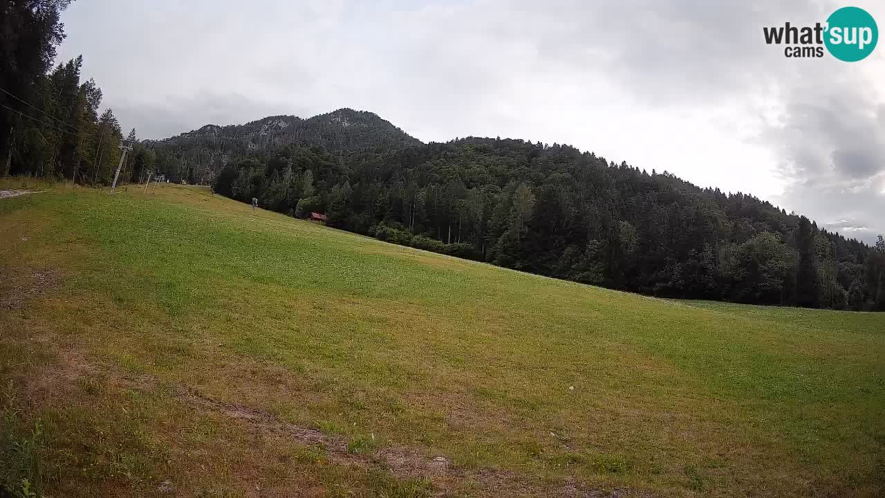 RTC Skigebiet Kranjska Gora | Brsnina