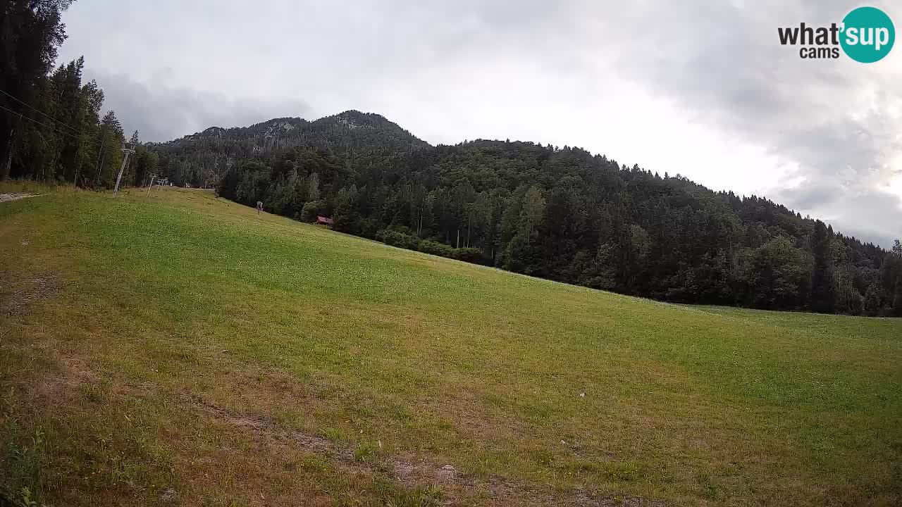 Comprensorio sciistico Kranjska Gora | Brsnina