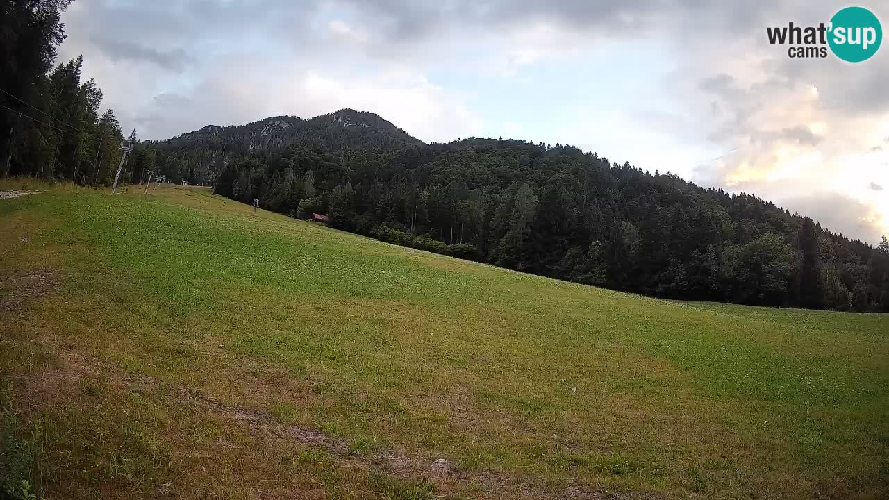 Kranjska Gora Station de ski | Brsnina
