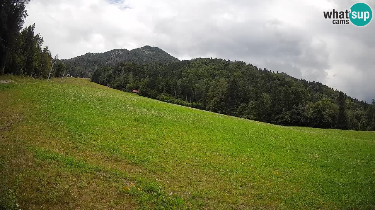 Kranjska Gora SKIJANJE | Brsnina