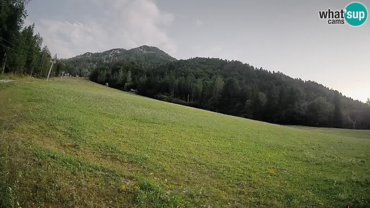 Ski Kranjska Gora | Brsnina