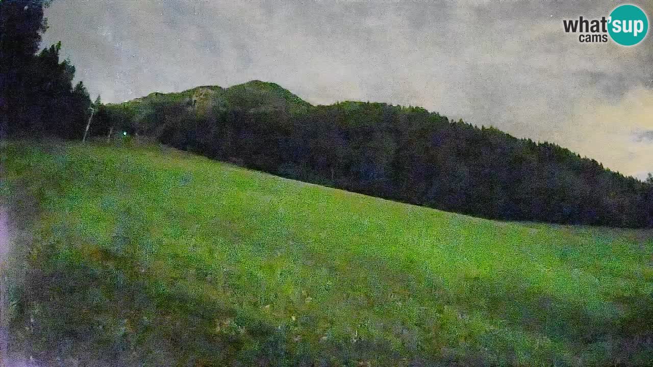 RTC Kranjska Gora | Brsnina