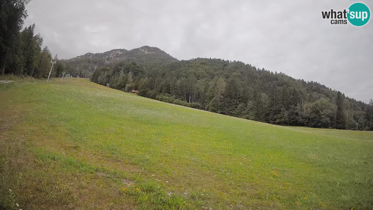 Ski Kranjska Gora | Brsnina