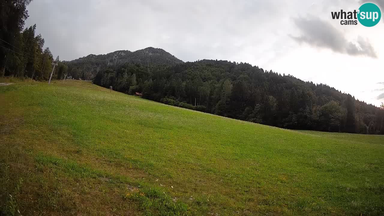 Esquí Kranjska Gora | Brsnina