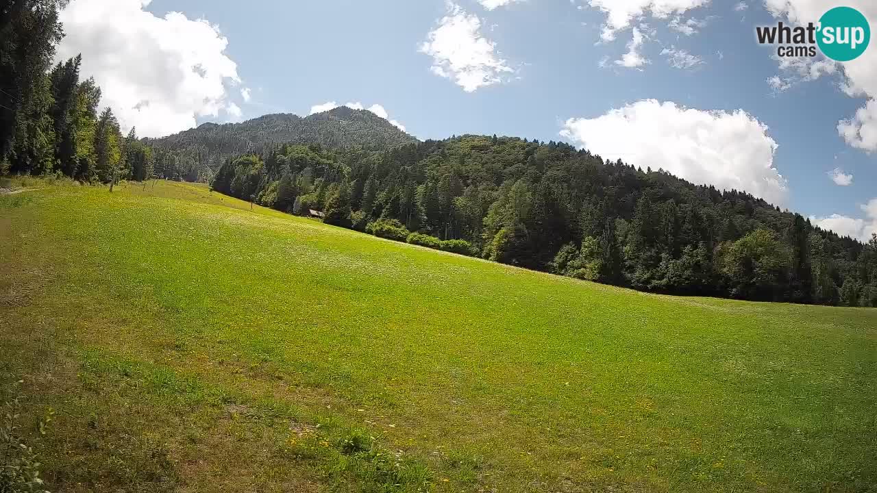 Kranjska Gora Station de ski | Brsnina