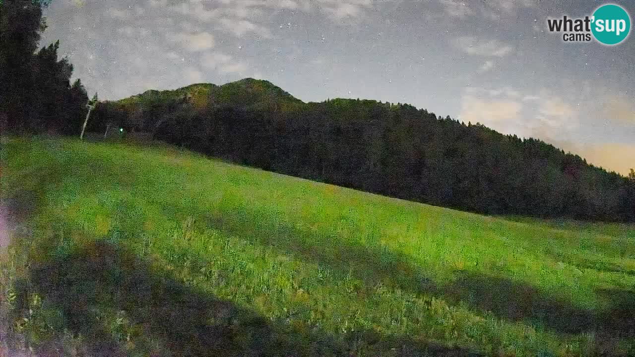 Comprensorio sciistico Kranjska Gora | Brsnina