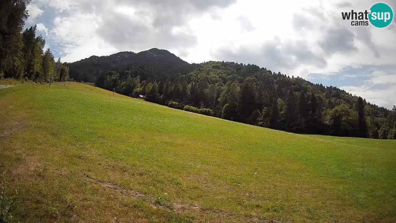 Esquí Kranjska Gora | Brsnina