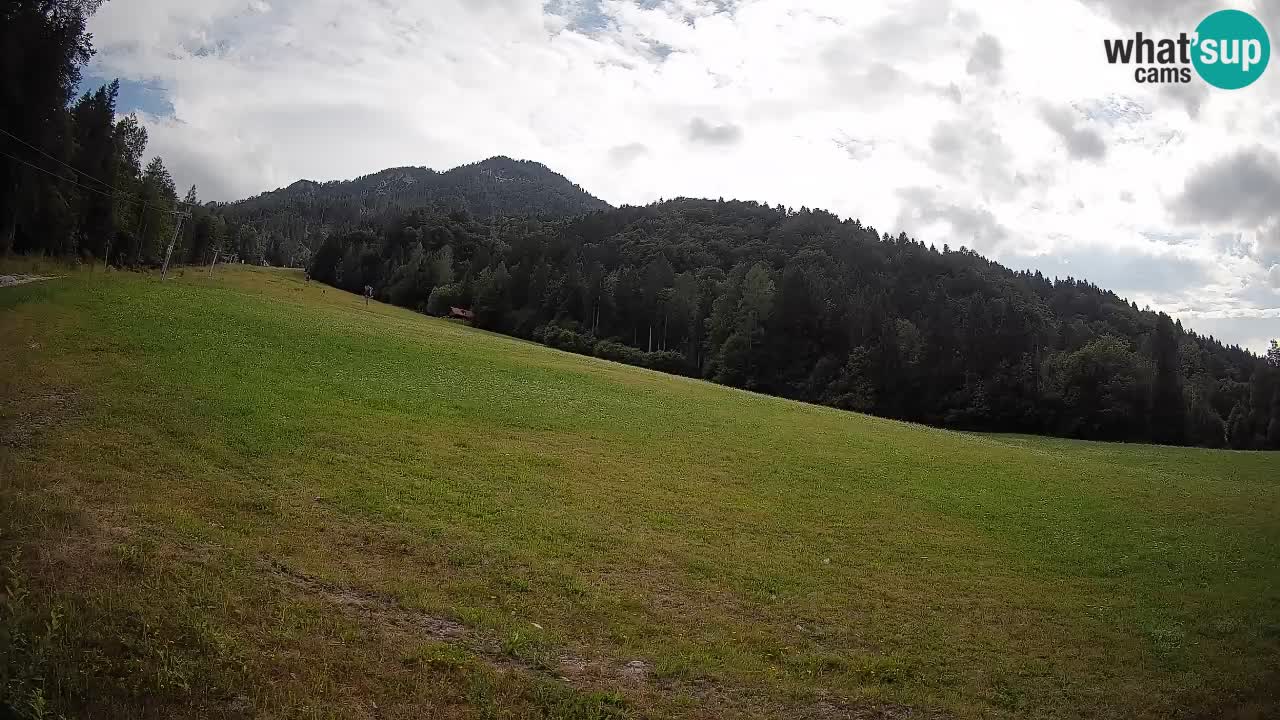Comprensorio sciistico Kranjska Gora | Brsnina
