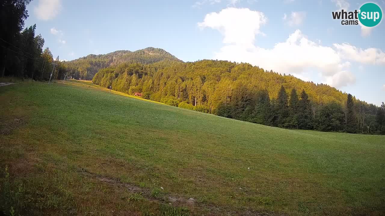 Kranjska Gora Station de ski | Brsnina