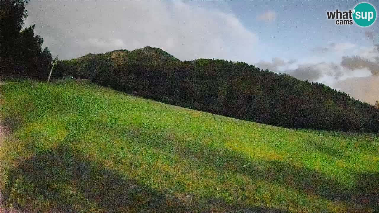 Ski Kranjska Gora | Brsnina