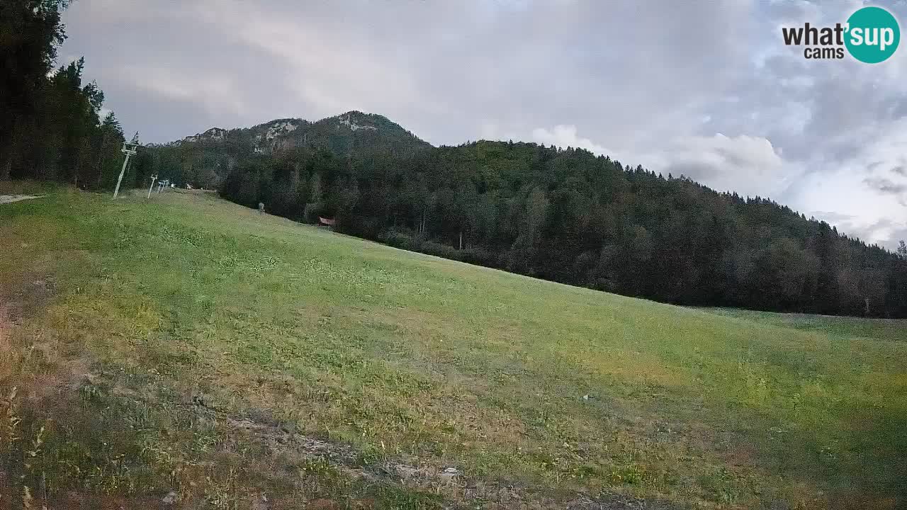 Comprensorio sciistico Kranjska Gora | Brsnina