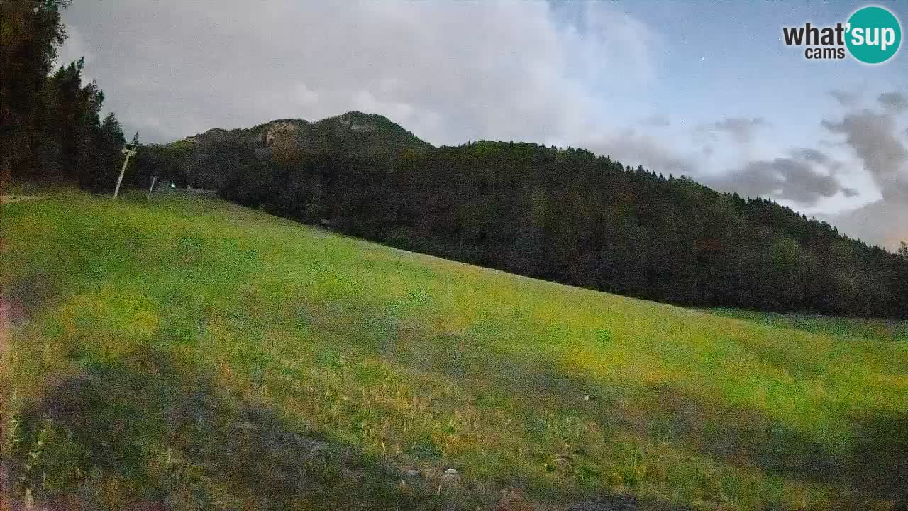 Ski Kranjska Gora | Brsnina