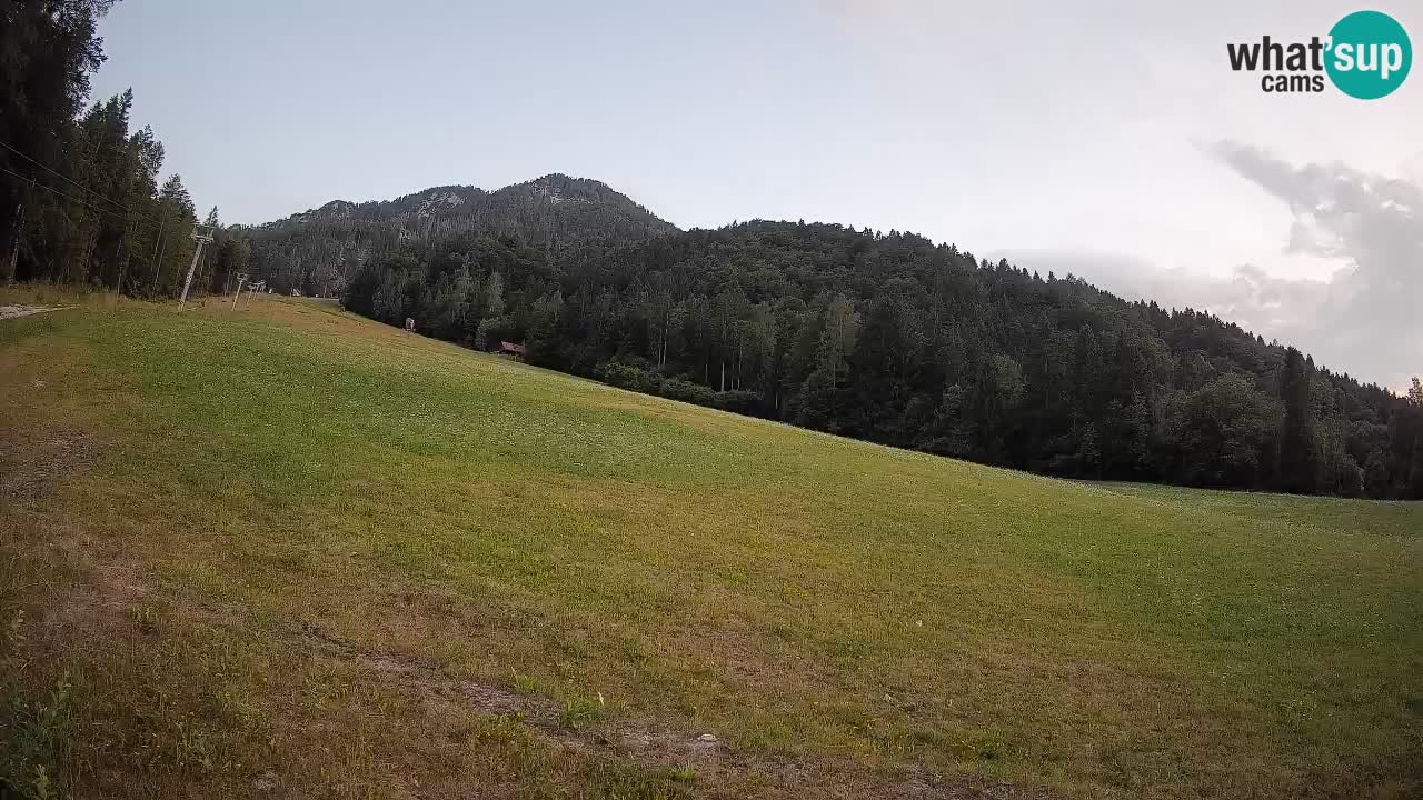 RTC Kranjska Gora | Brsnina