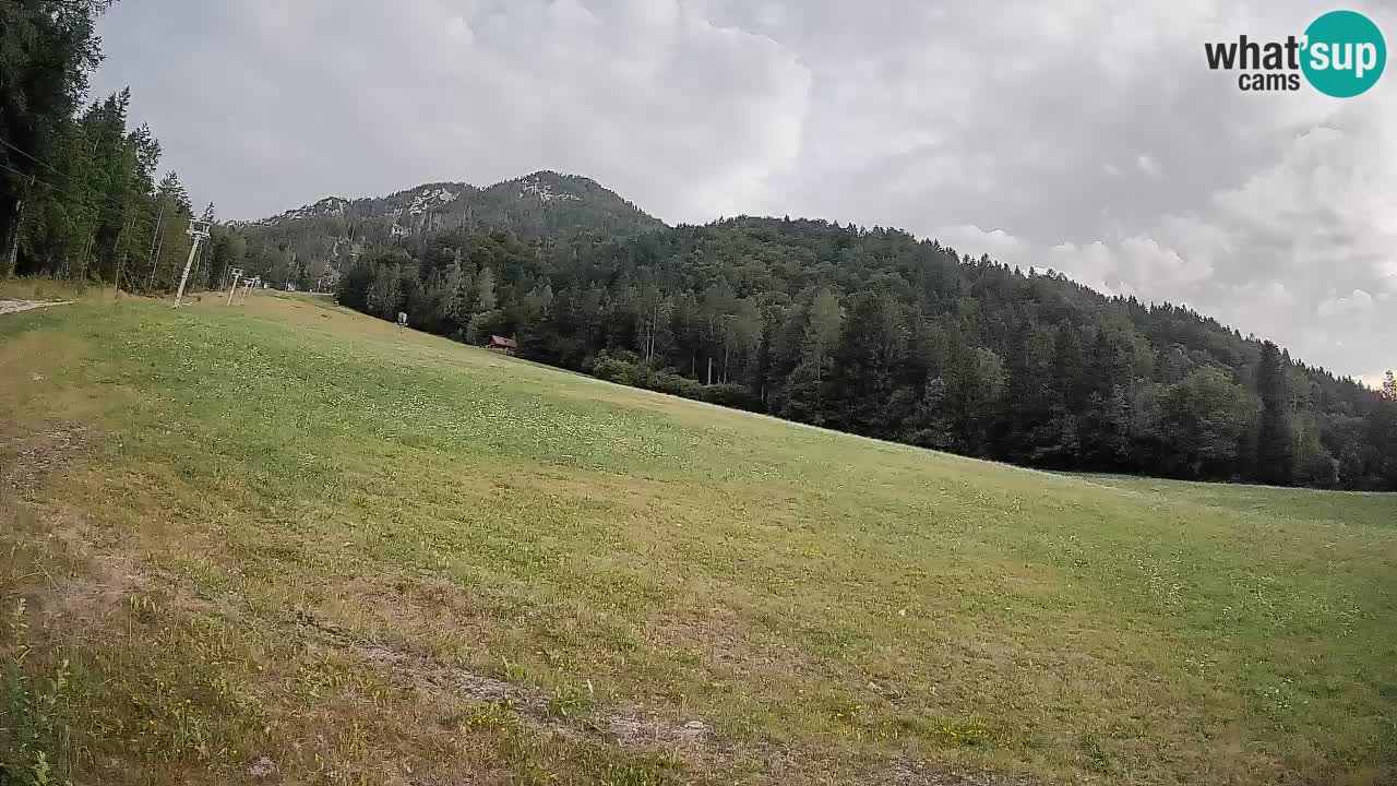 Esquí Kranjska Gora | Brsnina