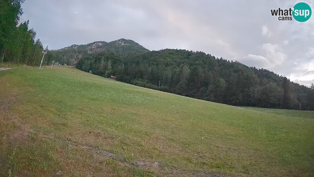 Comprensorio sciistico Kranjska Gora | Brsnina