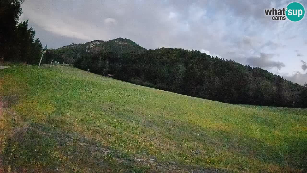 RTC Skigebiet Kranjska Gora | Brsnina