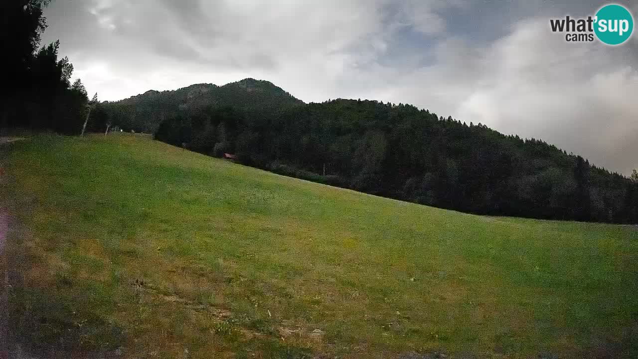 RTC Skigebiet Kranjska Gora | Brsnina