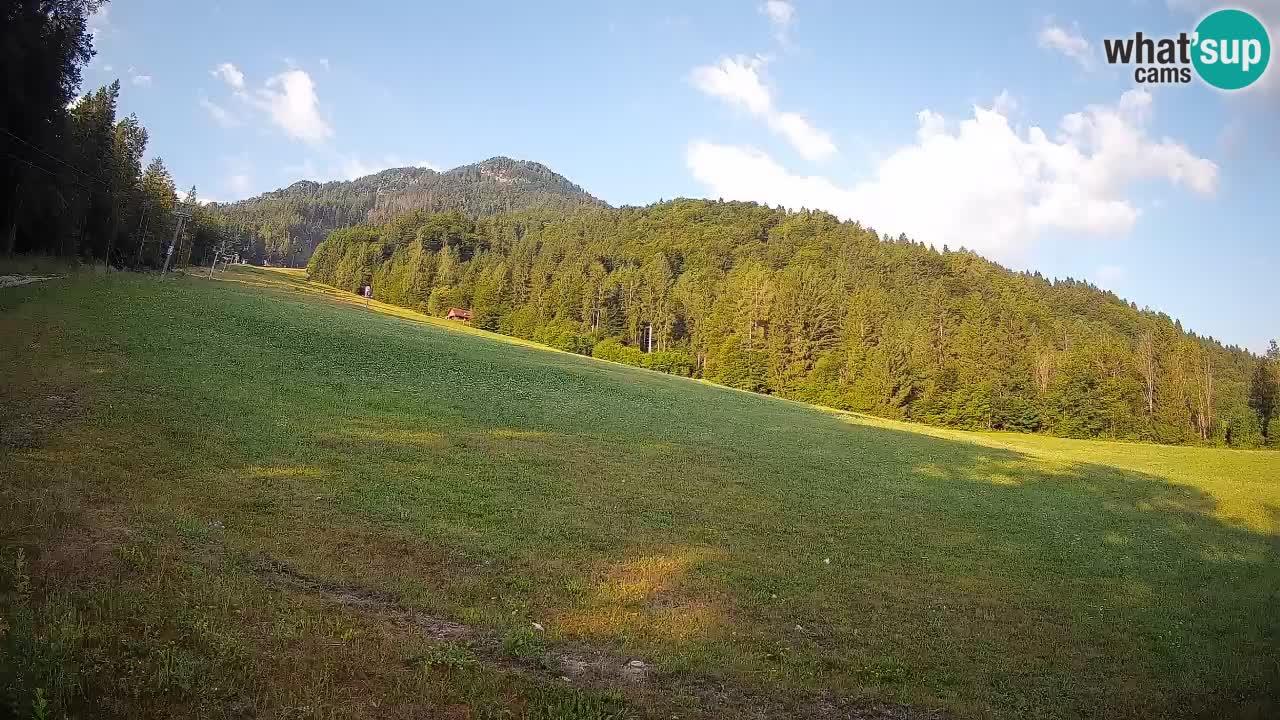 Kranjska Gora Station de ski | Brsnina