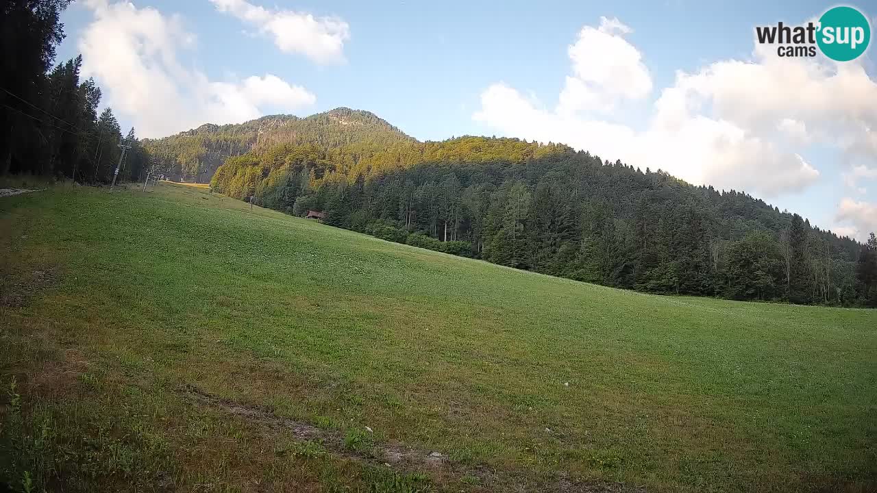 Comprensorio sciistico Kranjska Gora | Brsnina