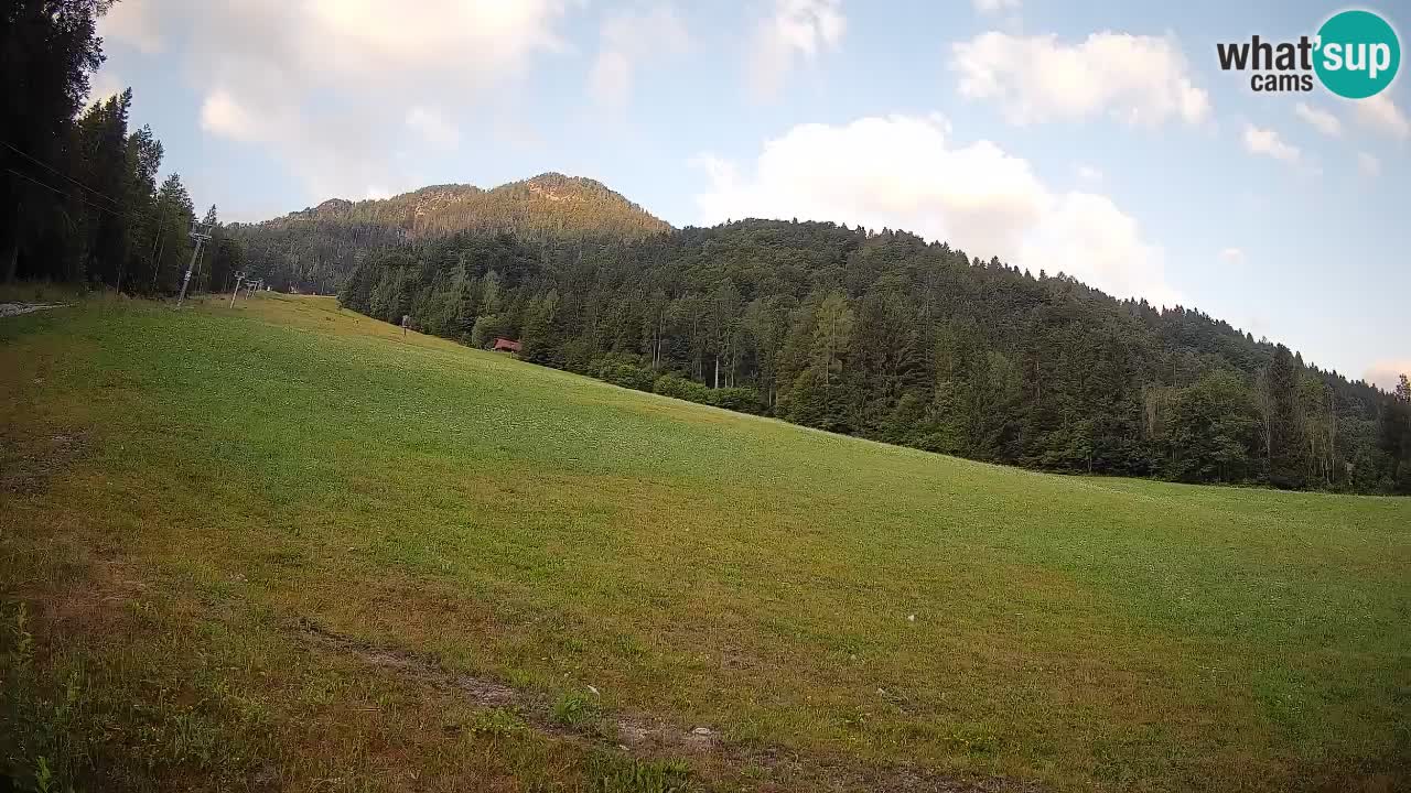 RTC Skigebiet Kranjska Gora | Brsnina