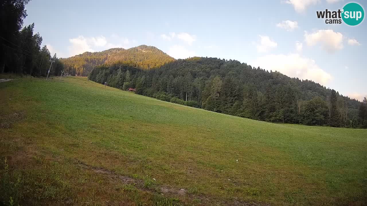Kranjska Gora Station de ski | Brsnina