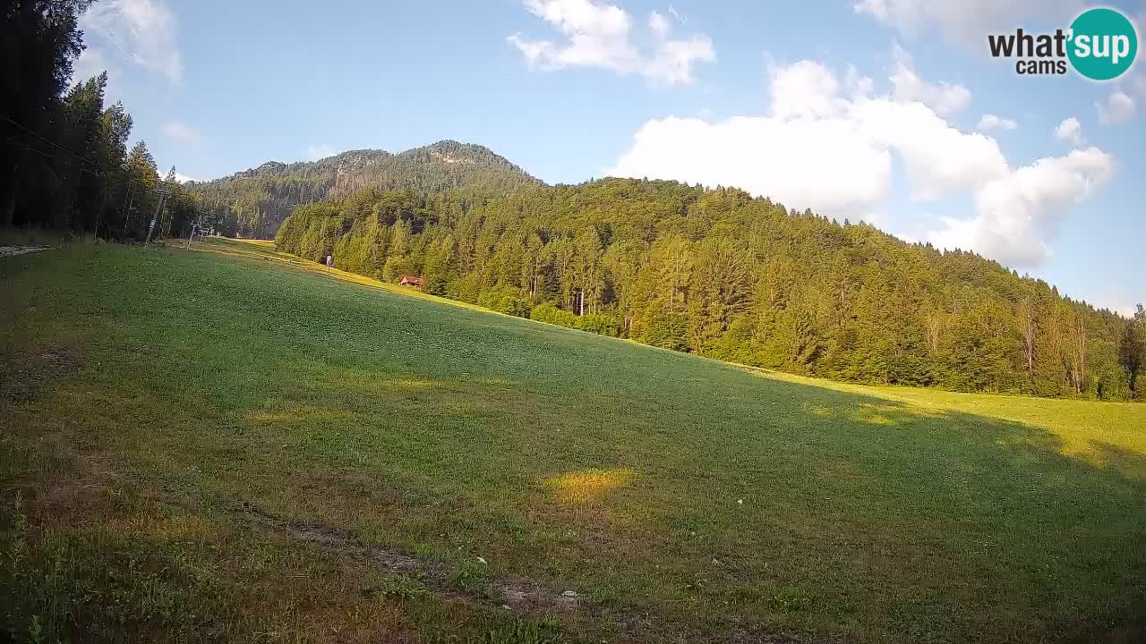 Kranjska Gora Station de ski | Brsnina