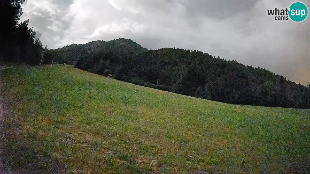 Kranjska Gora Station de ski | Brsnina