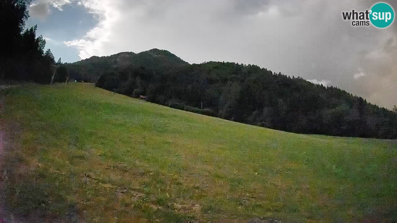 Kranjska Gora Station de ski | Brsnina