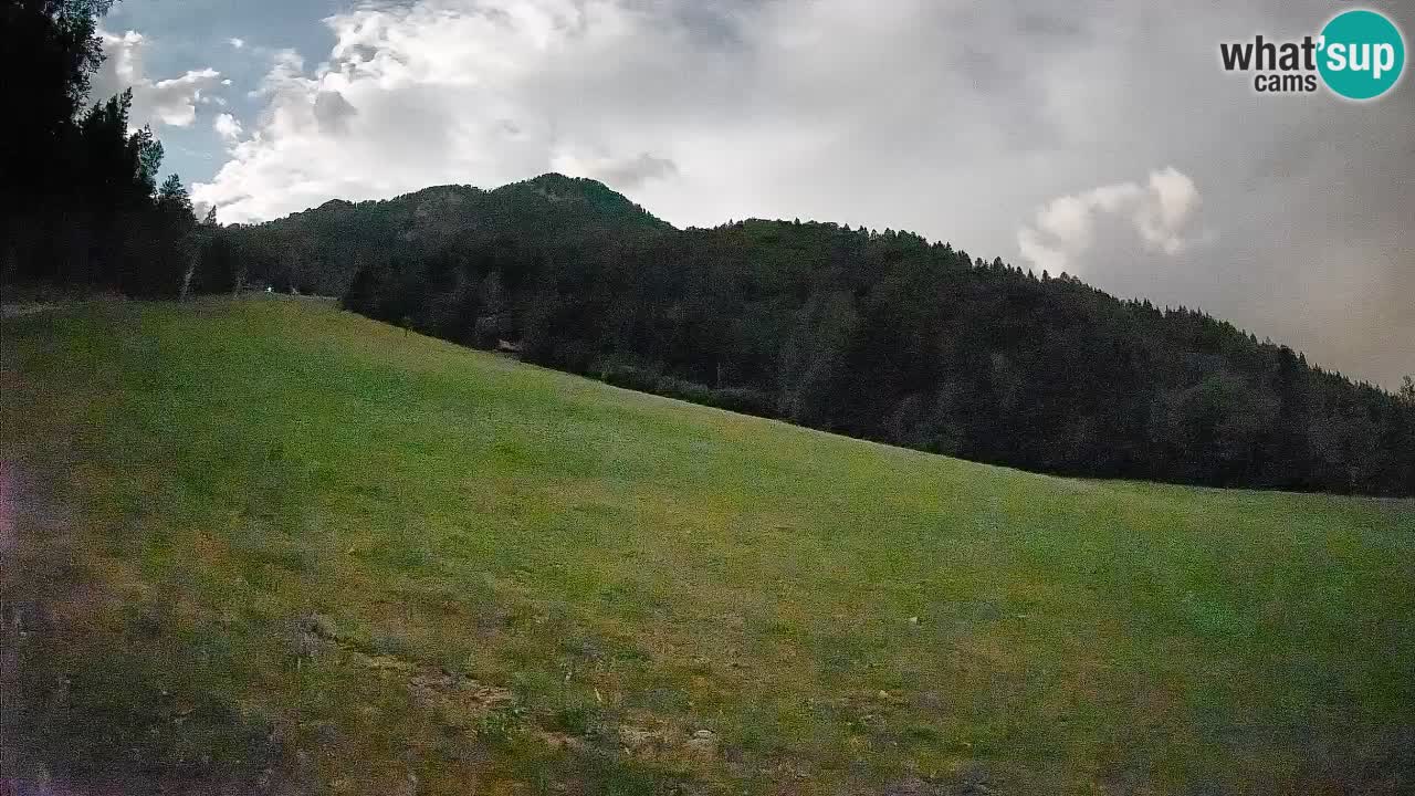 Ski Kranjska Gora | Brsnina