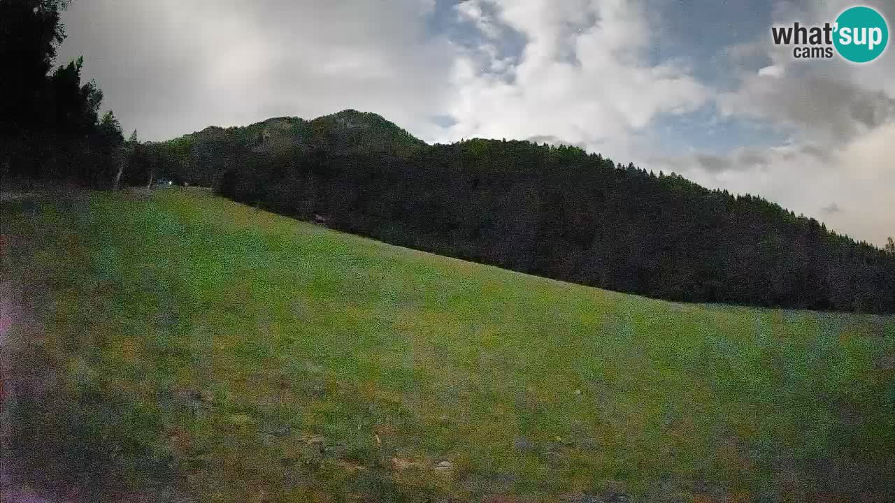 Kranjska Gora SKIJANJE | Brsnina