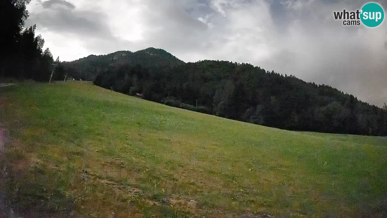 RTC Skigebiet Kranjska Gora | Brsnina