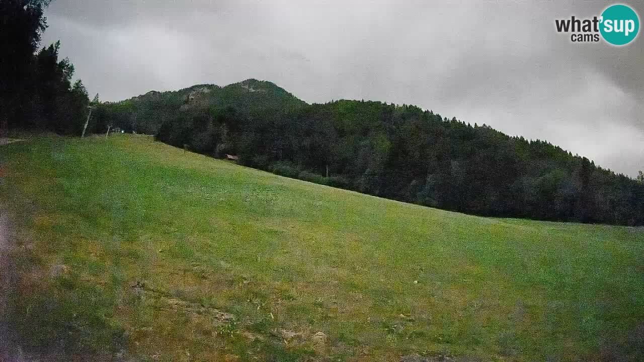 Kranjska Gora SKIJANJE | Brsnina