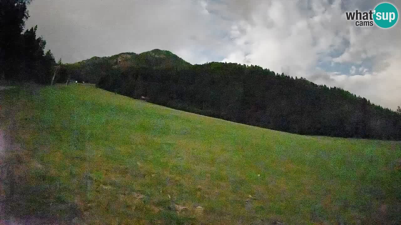 RTC Skigebiet Kranjska Gora | Brsnina