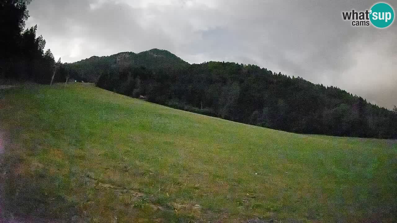 RTC Skigebiet Kranjska Gora | Brsnina