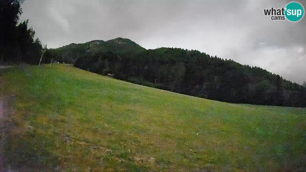RTC Skigebiet Kranjska Gora | Brsnina