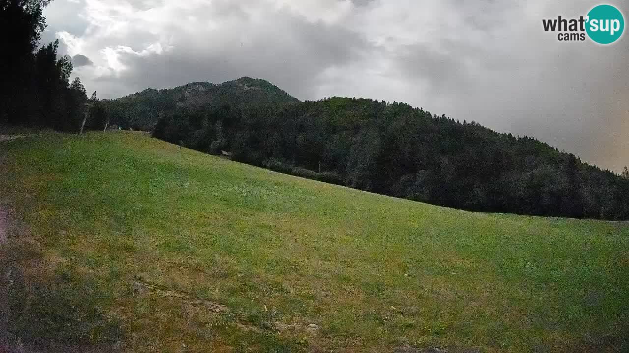 Kranjska Gora Station de ski | Brsnina