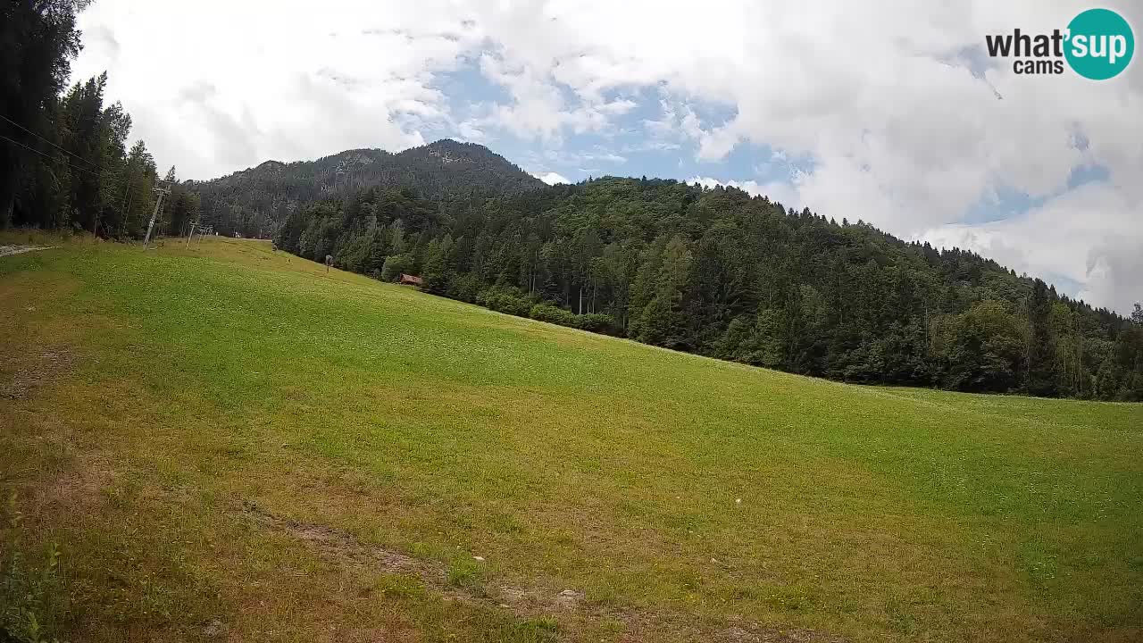 Comprensorio sciistico Kranjska Gora | Brsnina