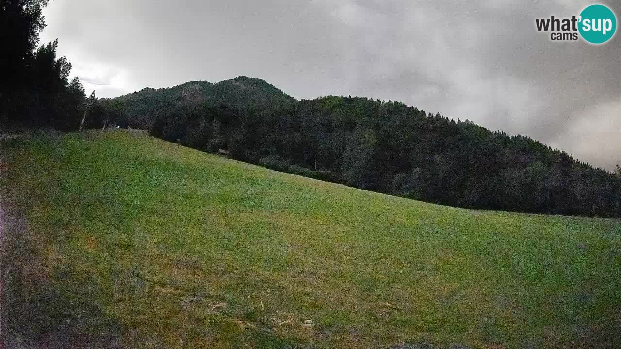 Comprensorio sciistico Kranjska Gora | Brsnina